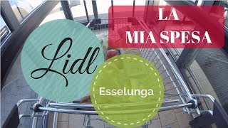 VIDEO SPESA ESSELUNGA E LIDL i miei preferiti! | Haul - SugarDany