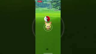 Pokemon go