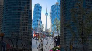 CN TOWER From the Lakeshore #cntowerview #cntower #toronto #cinematicvideo #canada