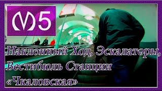 Станция Метро "Чкаловская" Наклонный Ход, Эскалаторы и Вестибюль. (Санкт-Петербург). 5 линия (ФПЛ).