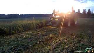 Haying in Lithuania 2014 / Šienapjūtė 2014