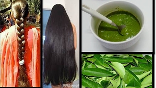 Curry leaf Herbal Hair mask for long, thick hair | Starnaturalbeauties