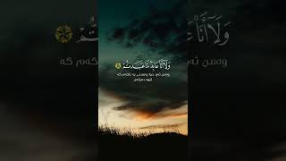 #القرآن_الكريم