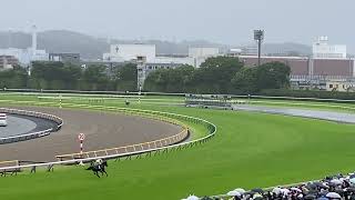 【観客目線】ヴィクトリアマイル本馬場入場　勝ち馬ソングライン