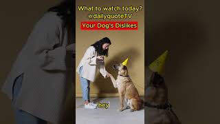 Your Dog's Dislikes: Unveiling Canine Preferences. #shorts #dog #cutedog #cuteanimals #doglovers