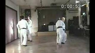 Kyushindo Karate