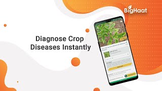 Crop Doctor English