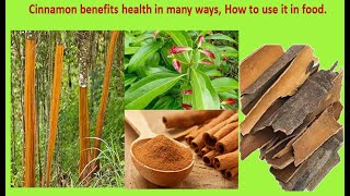 Cinnamon benefits health in many ways, how to use in food