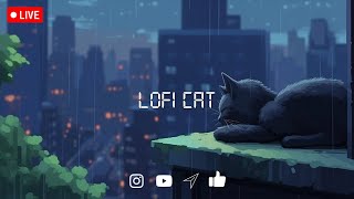 Lofi Cat - lofi Anime ambient music | Chill beats to relax/study to