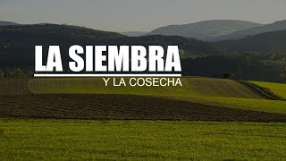 La siembra y la cosecha