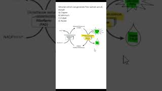 #NEETPG #BIOCHEMISTRY MCQs | Selenium | Glutathione peroxidase