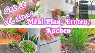 Get it all done, Meal Plan, ernten, kochen