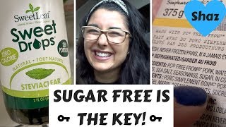 How To Go Sugar Free!!! CANDIDA + PCOS - NO MORE ACNE!