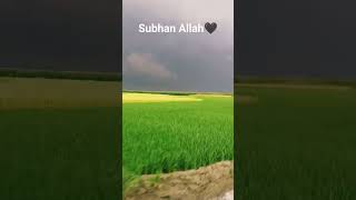 Subhan Allah🖤 #arabic #топ