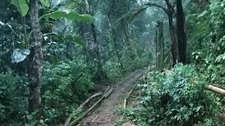 VLOG suasana hujan Lembur Kuring Cianjur selatan