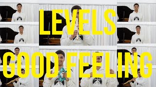 Avicii and Flo Rida - Levels/ Good Feeling - EPIC Cover - A Cappella, Rap and Recorder