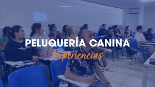 Peluquería Canina - Experiencias