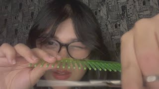 ASMR | cabeleireira fofoqueira cortando e lavando seu cabelo