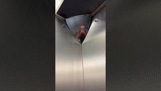 riding the empty elevator in my school