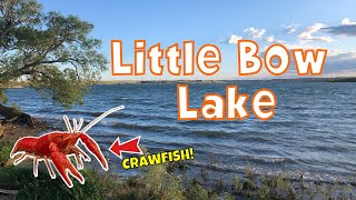 Little Bow Lake | Camping, Catch & Cooking CraWfish @ Alberta, Canada | 2020