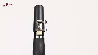 Aileen Music-student clarinet CL-C3650N