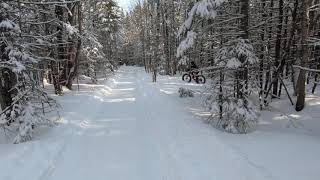 Fatbike électrique dans les sentiers E47