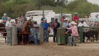 Ricky Canton Roping - 12 and Under Breakaway. Round 2