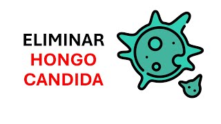 Como eliminar el Hongo Candida