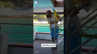 Davido & His Wife Enjoying Their Summer Break in a Yacht #shorts #shortsfeed #shortsviral #davido