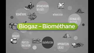 Conférence 2024 - Innovations dans le Biogaz (Partie 1)