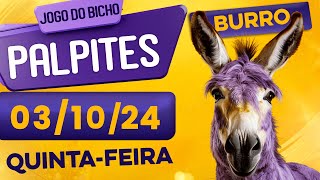 PALPITE DO DIA 03/10/2024 - JOGO DO BICHO 🍀 TODAS AS LOTERIAS 🍀