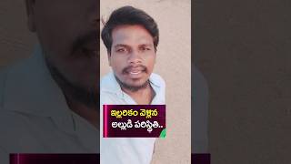 ఇల్లరికం అల్లుడు ll comedy videos #comedy #comedyshorts #villagecomedy