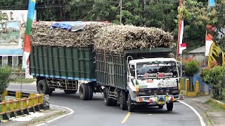 East Java Overloaded Sugarcane Trucks | Harvest Season 2022