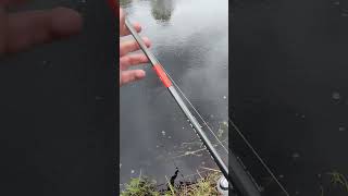 Поклевка щуки под ногами #fishing #щука #рыбалка