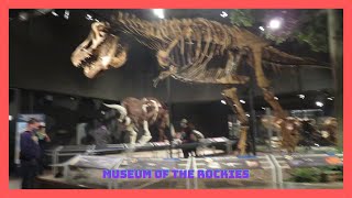 We went to the Museum Of The Rockies!!! ( Yellowstone day 3 )