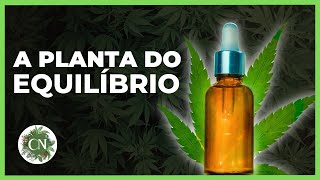 CANNABIS MEDICINAL: UM GUIA COMPLETO PARA MULHERES