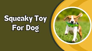 The BEST Way to Keep Your Dog Entertained with Squeaky Toys