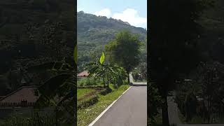 Sejuknya Kampung di Gunungkidul ini, Banyak Pepohonan Hijau. Ada yang orang sini? #boodsid