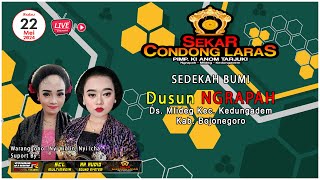 LIVE TAYUB SEKAR CONDONG LARAS - SEDEKAH BUMI DUSUN NGRAPAH MLIDEG