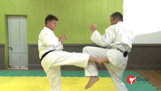 Karate - Offensive & Defensive Strategies Part 1 of 2