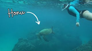 Snorkeling with Hawaiian Green Sea Turtles in Kaua'i // “SECRET” PRINCEVILLE CAVE