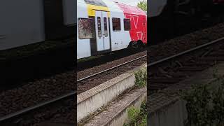 RE 2 Süwex ➡️Koblenz in Bingen #train #railway #trainspotting #shorts