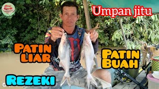 Patin Buah dan Patin liar rezeki hari ini..air keruh dan pasang besar-Ep48