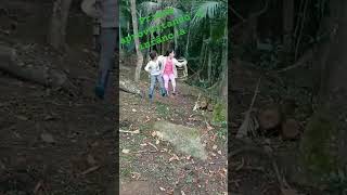 Primas aproveitando a infância...