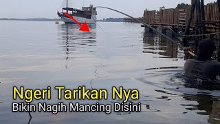 Berani Mancing Disini..! Awas Tegekmu patah ikan Baronang ny ganas