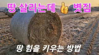 땅살리는 볏집#농사의 기본#농사유튜버한해농사 준비#농사유튜버