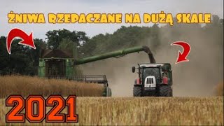 ●ŻNIWA RZEPACZANE NA DUŻĄ SKALE 2021●|JOHN DEERE s690i & STEYR