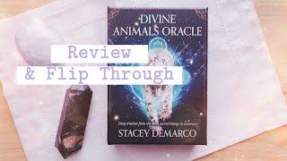 Divine Animals Oracle | REVIEW & Flip Through