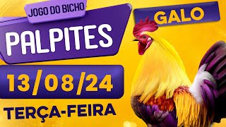 PALPITE DO DIA 13/08/2024 - JOGO DO BICHO 🍀 TODAS AS LOTERIAS 🍀