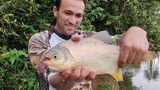 Os pacu chegou com força.